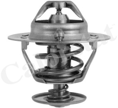 Termostato, Refrigerante CALORSTAT di Vernet TH6294.82J