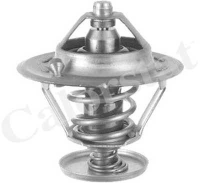 Termostato, Refrigerante CALORSTAT di Vernet TH6296.78J