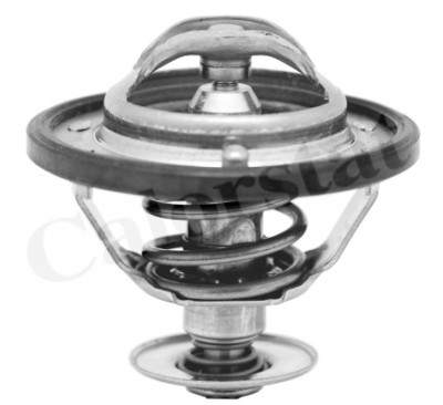 Termostato, Refrigerante CALORSTAT di Vernet TH6311.82J