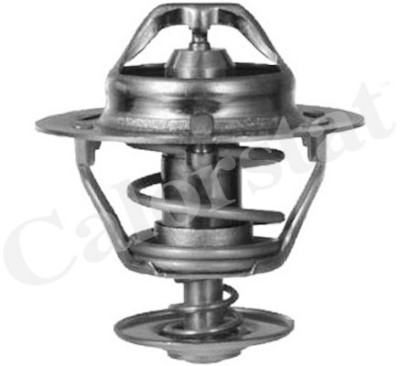 Termostato, Refrigerante CALORSTAT di Vernet TH6312.88J
