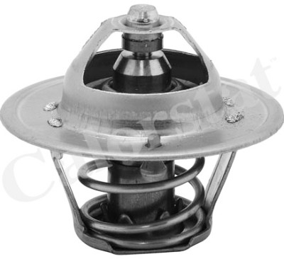 Termostato, Refrigerante CALORSTAT di Vernet TH6313.82J