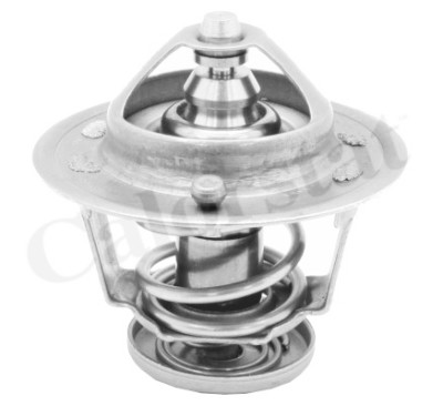 Termostato, Refrigerante CALORSTAT di Vernet TH6314.82