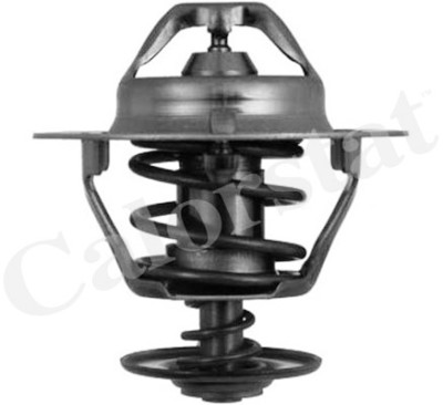 Termostato, Refrigerante CALORSTAT di Vernet TH6319.85J