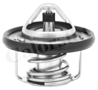 Termostato, Refrigerante CALORSTAT di Vernet TH6949.82J