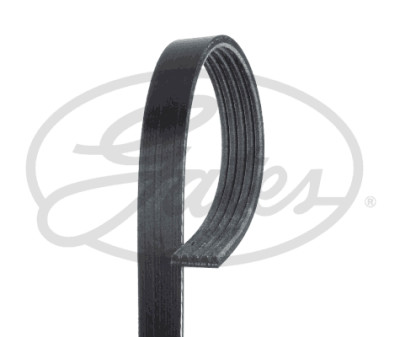 Cinghia Poly-V