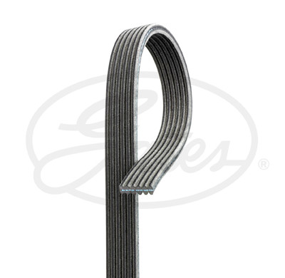 Cinghia Poly-V GATES 6 DPK 1225