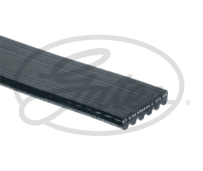 Cinghia Poly-V