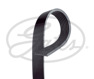 Cinghia Poly-V
