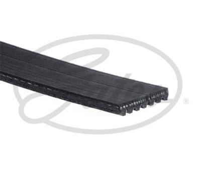 Cinghia Poly-V