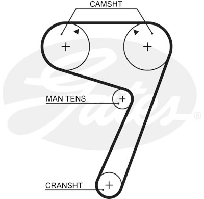 Kit cinghie dentate