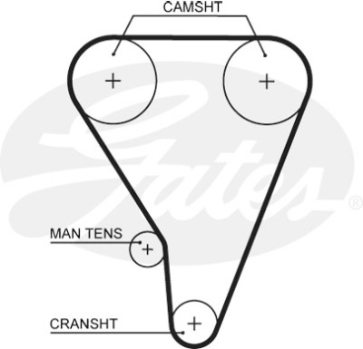 Kit cinghie dentate