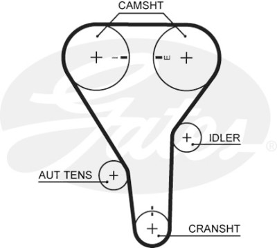 Kit cinghie dentate