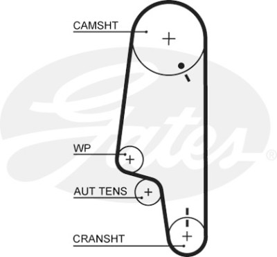 Kit cinghie dentate