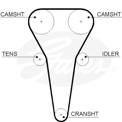 Kit cinghie dentate