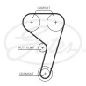 Kit cinghie dentate