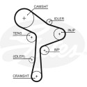 Kit cinghie di distribuzione GATES K025678XS