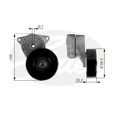 Rullo tenditore, Cinghia Poly-V