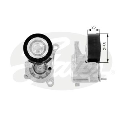 Rullo tenditore, Cinghia Poly-V