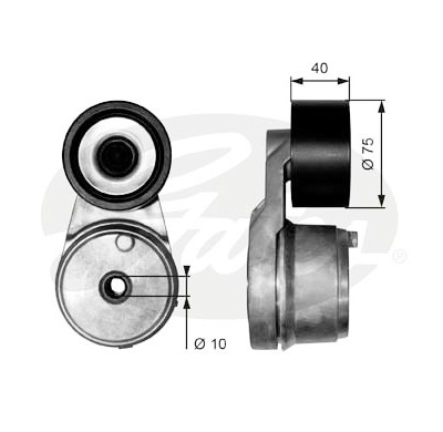 Tendicinghia, Cinghia Poly-V