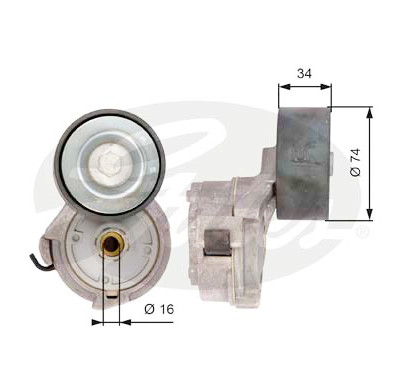 Tendicinghia, Cinghia Poly-V