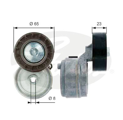 Tendicinghia, Cinghia Poly-V