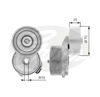 Tendicinghia, Cinghia Poly-V