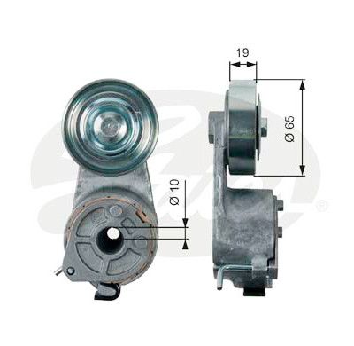 Tendicinghia, Cinghia Poly-V