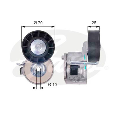 Tendicinghia, Cinghia Poly-V