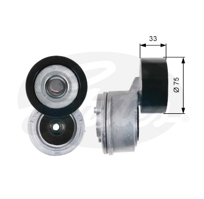 Tendicinghia, Cinghia Poly-V