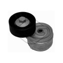 Tendicinghia, Cinghia Poly-V