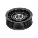 Tendicinghia, Cinghia Poly-V