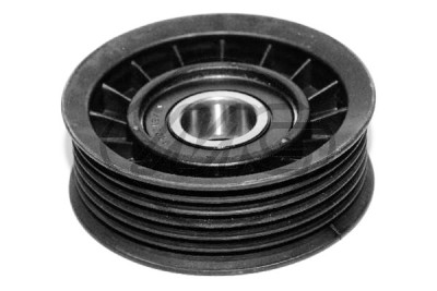 Tendicinghia, Cinghia Poly-V