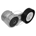 Tendicinghia, Cinghia Poly-V