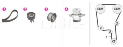 Pompa acqua + Kit cinghie dentate