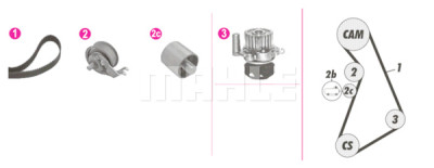 Pompa acqua + Kit cinghie dentate