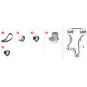 Pompa acqua + Kit cinghie dentate