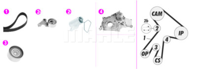Pompa acqua + Kit cinghie dentate