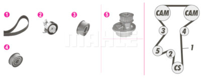Pompa acqua + Kit cinghie dentate