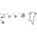 Pompa acqua + Kit cinghie dentate