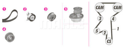 Pompa acqua + Kit cinghie dentate