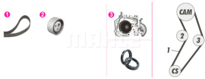 Pompa acqua + Kit cinghie dentate