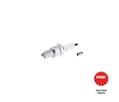 Candela NGK 2023