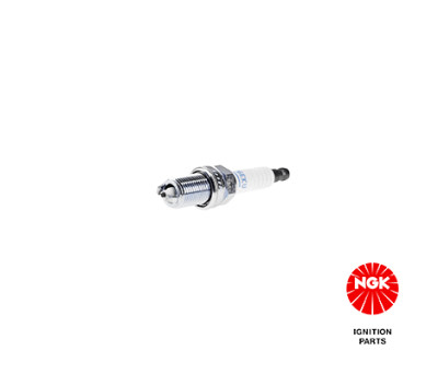 Candela accensione NGK 2890