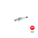 Candela NGK 3641
