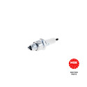 Candela NGK 4296