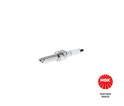 Candela NGK 4313