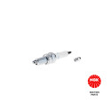 Candela NGK 4339