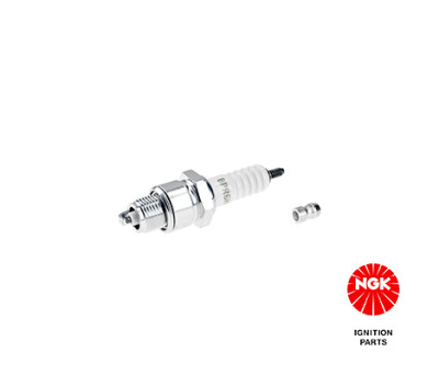 Candela NGK 4553