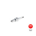 Candela NGK 4929