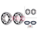 Kit cuscinetto ruota